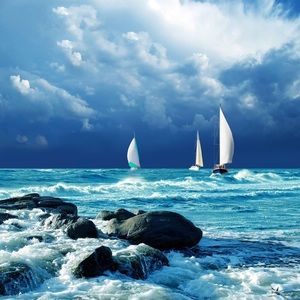 Meet your Posher, William